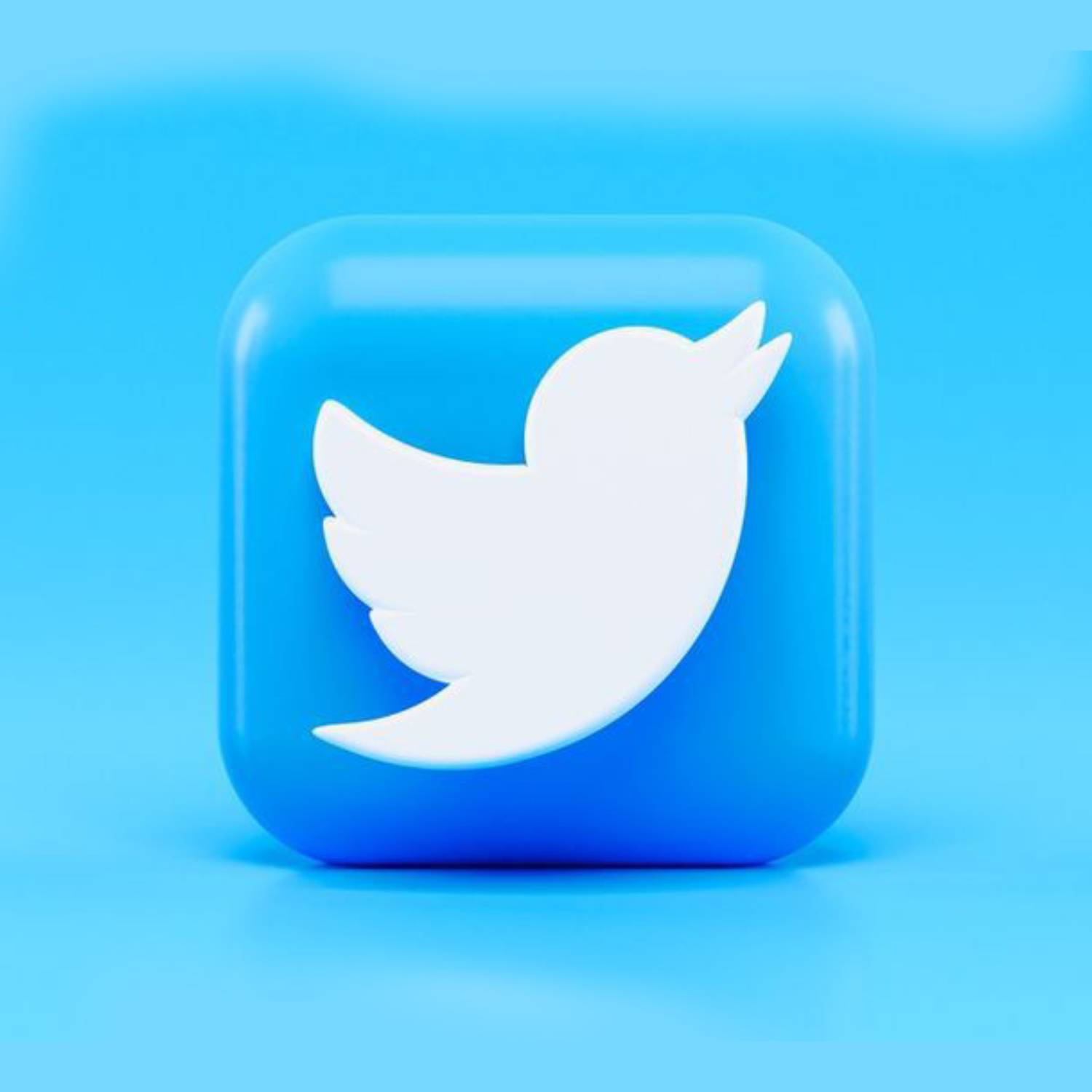 Twitter Logo